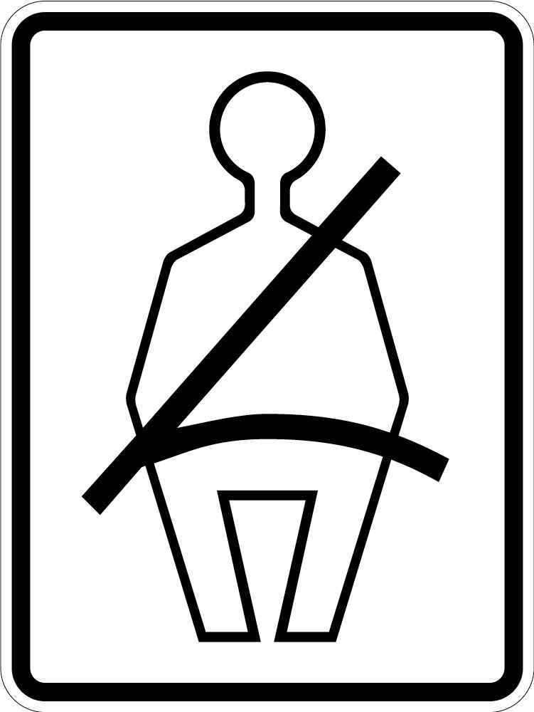 SEAT BELT (R16-1)